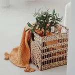 Escape 21 Villa